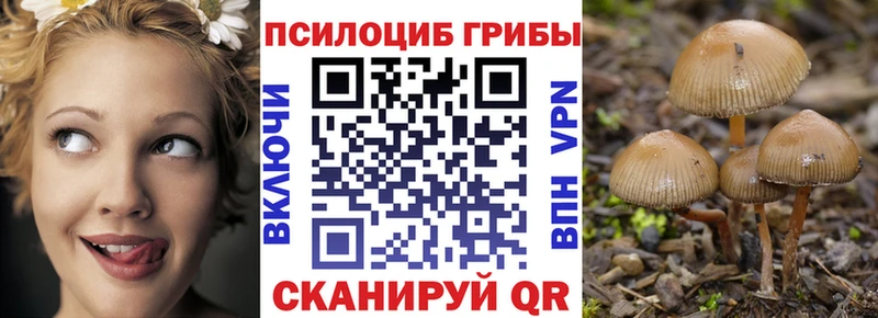 Галлюциногенные грибы мухоморы  как найти закладки  Пикалёво 
